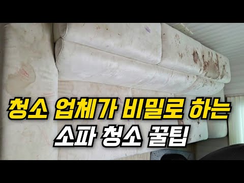 누구나 하는 소파 청소, 10분이면 충분합니다. (전문업체 비법)