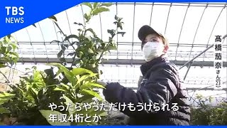 ｢もうかる農業｣に若者が続々 ｢年収1000万円目指す｣持続可能な食料生産【Nスタ】