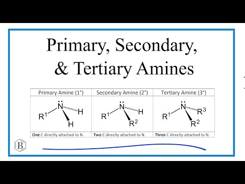 Primary, Secondary, and Tertiary Amines || Structure, Examples & Identification