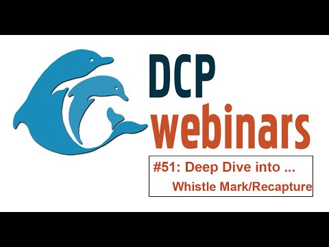 DCP Deep Dive: Monitoring dolphins using whistles