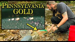 NICE! Gold Found Easily in Pennsylvania! Gold Prospecting in PA