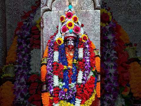 🌺Joy Maa Tara 🌺 #taramaa #tarapith #maa #maatara #maakali #kali #bhakti #jagdamba #sonunigam #song