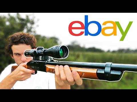 Hunting with Used Air Guns from eBay! (Scope Cam)