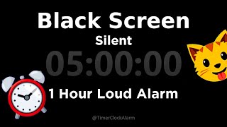 Black Screen 🖥 5 Hour Timer (Silent) 1 Hour Loud Alarm | Sleep and Relaxation