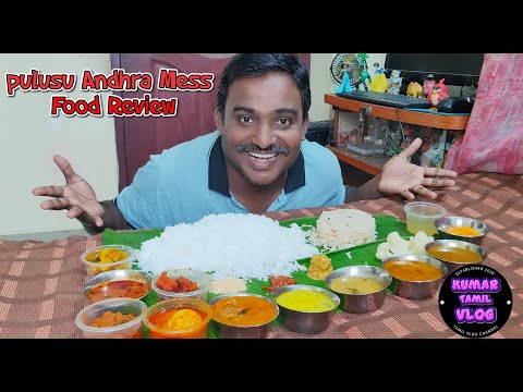 pulusu Andhra Mess Ramapuram | nonveg meals Review | food review in tamil | street food tamil | food