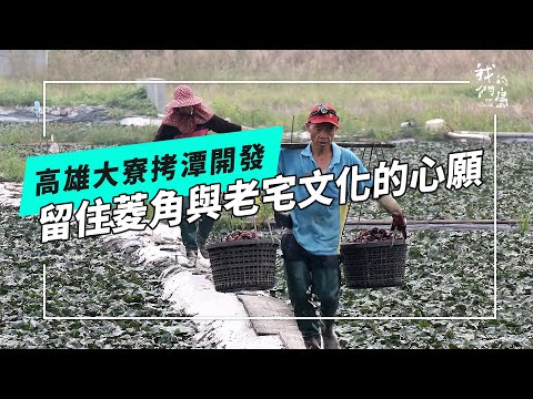 快速消失的拷潭菱角田｜限建令解除 加快開發腳步(公視我們的島 第1288集 2024-12-30)