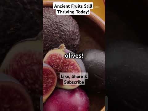 Ancient Fruits Still Thriving Today! #superfood #facts #nutritionfacts  #fitness