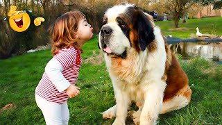 Cutest Babies Play With Dogs And Cats Compilation 😹 | Kids and Animals 💕