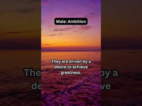 Male ambition explained