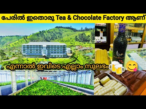 Tea factory in Ooty | Chocolate factory | Ooty Tourist Places | Coonoor Tourist Places | Ooty trip