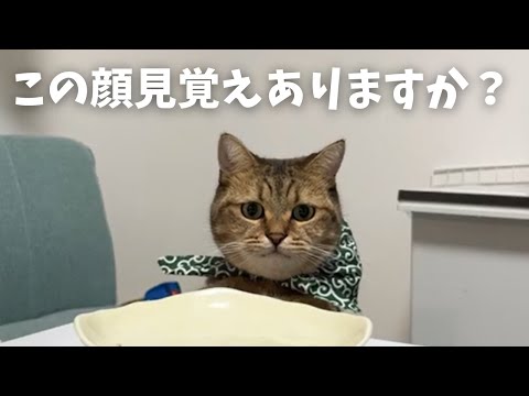 去年の今頃に家に出没していた盗みのプロ猫の動画がこちら