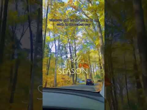 🎃🍁🍂🚗 #autumn #fallcolors #carvlogs #carrides #pennsylvania