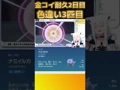 【金コイ耐久】金コイの旅2日目☆色違い3匹目！ウミイルカに絶望しながらも可愛さに癒される(ポケットモンスター スカーレット・バイオレット/#フブキCh/#すこだワ/#白上フブキ) #Shorts