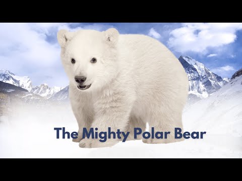 The Mighty Polar Bear: Life in the Arctic, Survival Skills, and Fun Facts! - Animal Kingdom