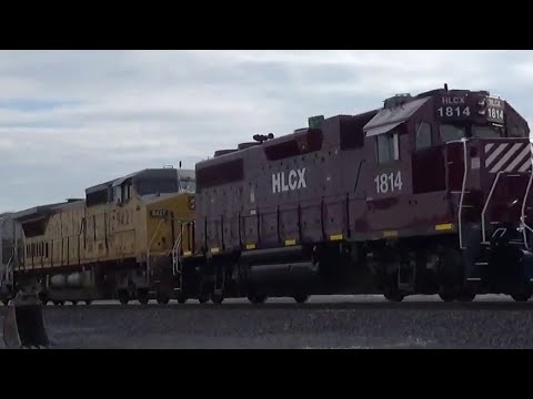 Super Train, Union Pacific Mixed Freight w/238 Cars 8 Locomotives Near Loveland, Iowa 2018