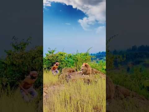 Oow 😮😲🦁 Lion 🦁#wildlife #shortvideo #trend #viralshorts #jungle #new #lion