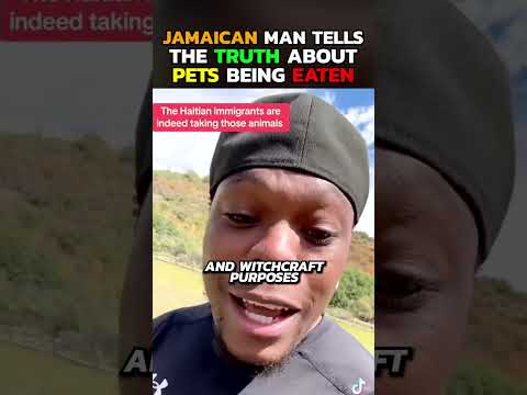 Jamaican Exposes The Truth About Haitians