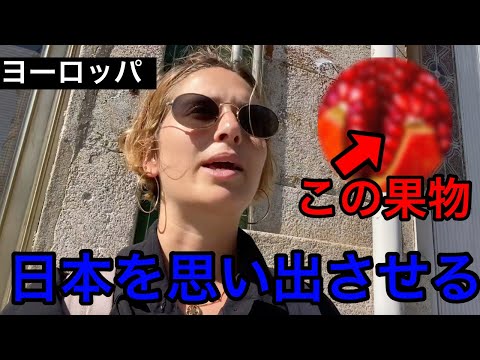 ヨーロッパの「アレ」を見ると日本を思い出す！そして腹は北山！