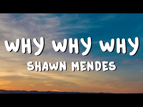 Shawn Mendes - Why Why Why (Lyrics)