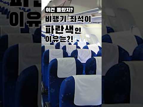 #비행기 #좌석 파란색인 이유가 있다고?