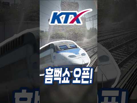 흠뻑쇼 개장한 KTX 근황 ㄷㄷ