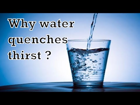 Why water quenches thirst?