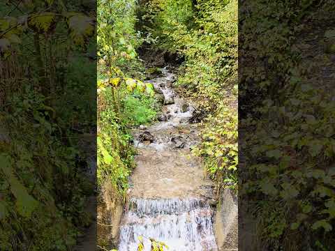 Beautiful Creek - Garmisch - Alps #nature #river #alps #alpsmountains #germany