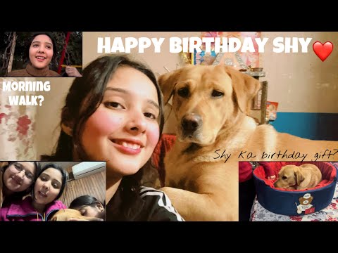 Shy birthday vlog🎁❤️morning with friends ❤️💕 #vlog #birthday #trending #birthdaycelebration