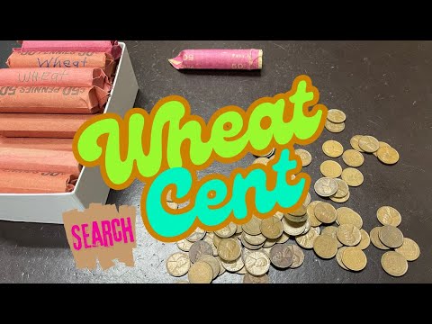 Searching an Old Coin Collection for Valuable Wheat Cents | Coin Collecting Tips & Tricks