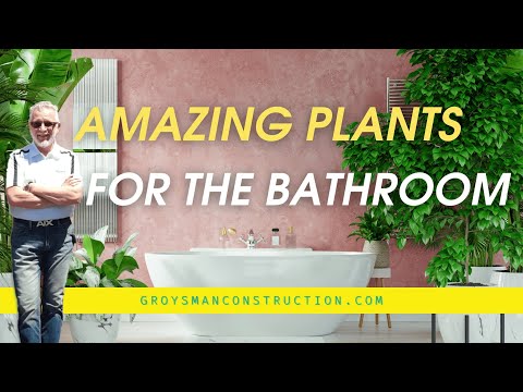 AMAZING PLANTS FOR THE BATHROOM