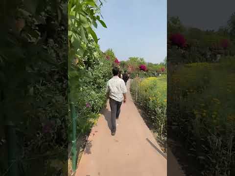 Sansad bhavan new delhi visit short vlog video