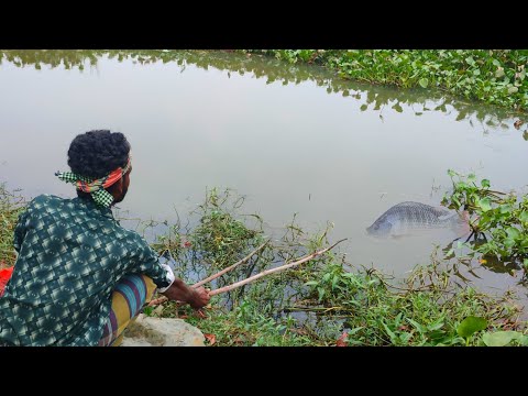 Best Hook Fishing2024 | Unique Hook Fishing Hunting Fish By Fish Hook In Canal