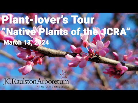 Day of Giving 2024 - "Plant-lover's Tour - Native Plants of the JCRA"