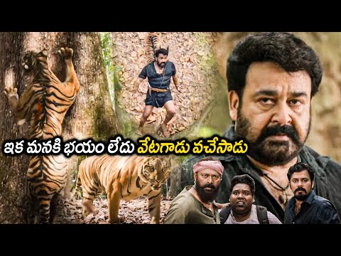 Mohanlal  Saves  lal Actor From Tiger  Interesting Scene || Manyam Puli Movie || Matinee Show