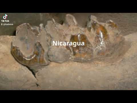 Paleontología de Nicaragua