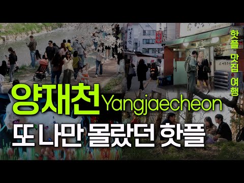 Seoul travel guide. Yangjae-dong: A serene hotspot right next to Gangnam.