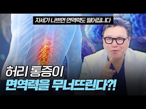 허리 통증이 면역력을 무너뜨린다? | 참포도나무병원 이동엽 원장