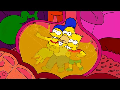 The Simpsons, Found the Best Amusement Park! The Simpsons 2024 - Best moments