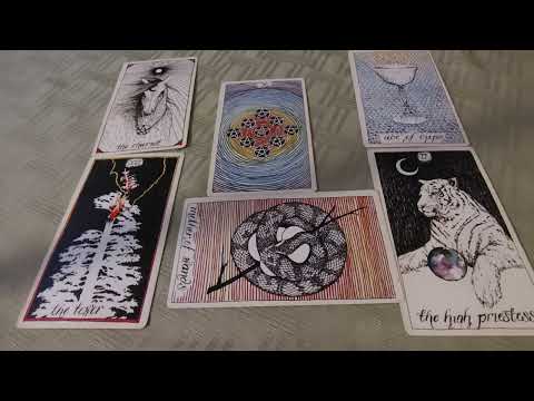 Aquarius ♒ 🏺 November 2024 Tarot Reading