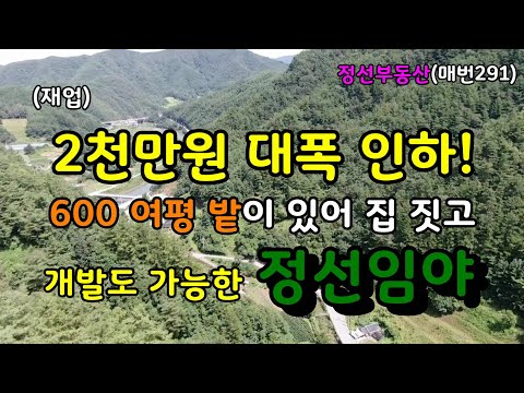 (재업) 2천만원 가격 대폭 인하! 600 여평 밭이 있는 집 짓고 개발 가능한 정선임야 / 정선토지박사