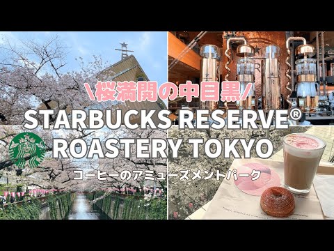 【東京Vlog/カフェ】桜満開の目黒川でお花見 | STARBUCKS RESERVE® ROASTERY TOKYOで桜カフェを満喫した朝