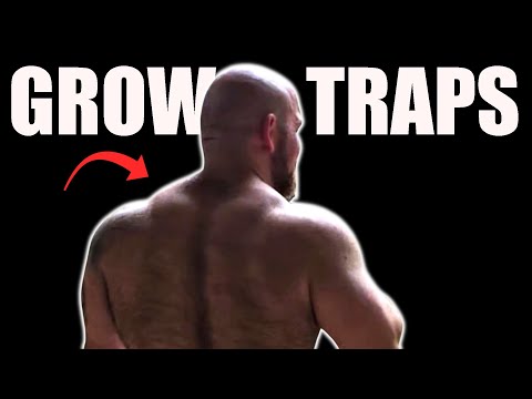 4 Stupid Things I Did to Grow My Traps (Not Barbell Shrugs)