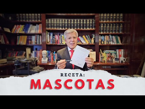 RECETA: MASCOTAS