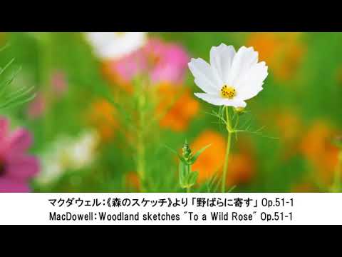 かわいいクラシック名曲集・Pretty Classical Music Collection（長時間作業用BGM)