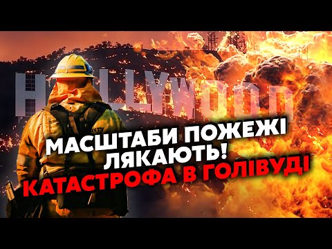 🔥ЗАРАЗ! Палає ПОЛОВИНА ЛОС-АНДЖЕЛЕСА. ГОЛЛІВУД вщент ЗГОРІВ. Зірки залишилися БЕЗ МАЄТКІВ