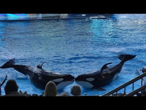 My SeaWorld Trip!!! The World Is Ours!!!