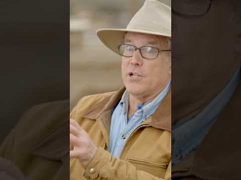 How Hybrid Breed Laying Hens Can Lead to More Broken Eggs - Joel Salatin #chicken #egg #poultry