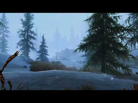 Skyrim - Tundra Ambiance 2 (birds, wind, blizzard)