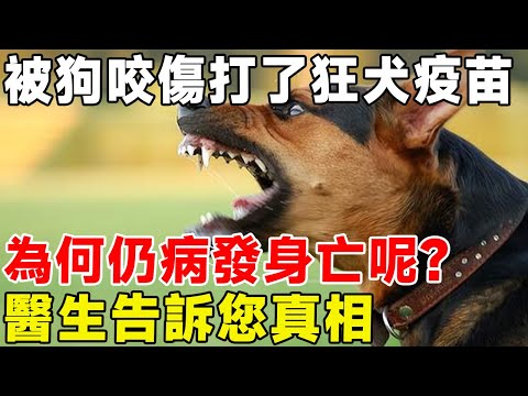 被狗咬傷打了狂犬疫苗，為何仍病發身亡呢？ 醫生告訴您真相#科普頻道 #科普 #宠物