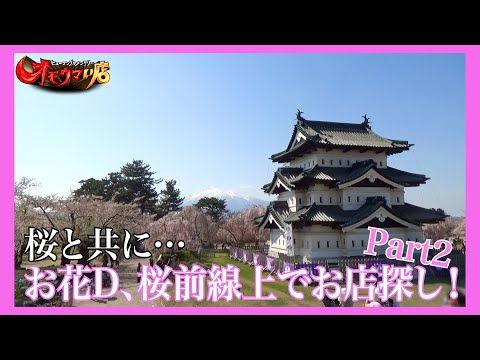 【追跡】店前に桜が咲く店はオモウマい？#2　The shop where cherry blossoms bloom is 'Omouma'? Part2